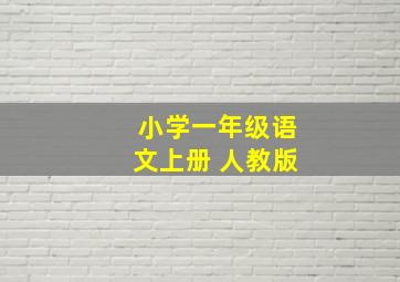 小学一年级语文上册 人教版